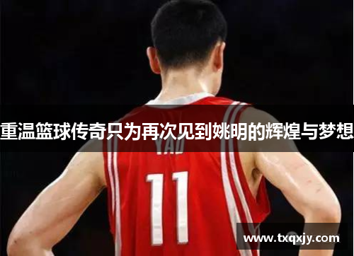 重温篮球传奇只为再次见到姚明的辉煌与梦想
